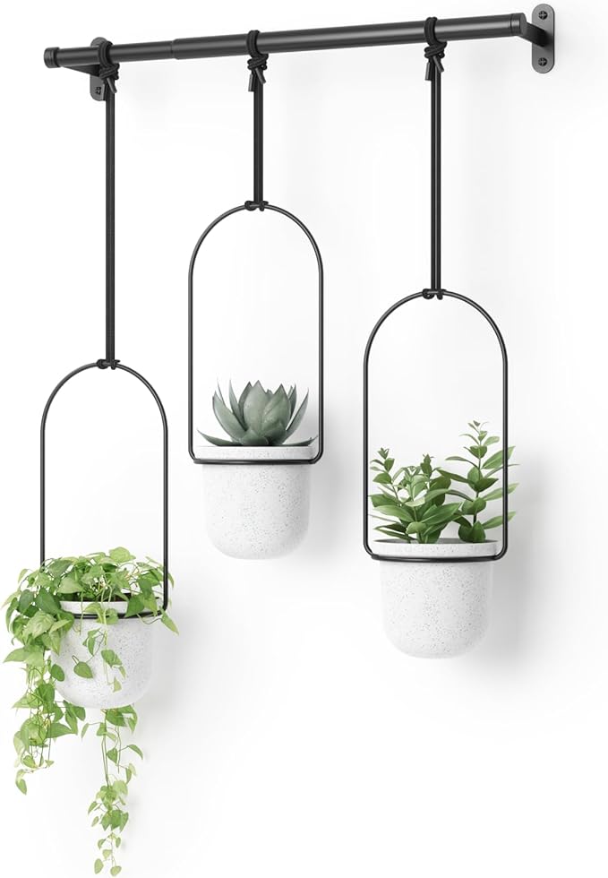 hanging_window_pots